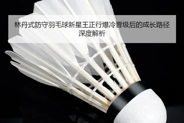 林丹式防守羽毛球新星王正行爆冷晋级后的成长路径深度解析